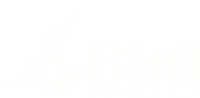 Bird Mongolia